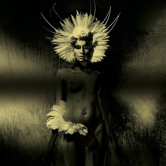 Cover artwork for The Healing (feat. Gavin Clark)