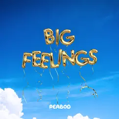 Big Feelings (feat. Aklesso) Song Lyrics