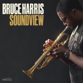 Bruce Harris - Bird of Red and Gold