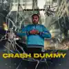 Crash Dummy - Single album lyrics, reviews, download