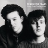 Everybody Wants To Rule The World by Tears For Fears iTunes Track 6