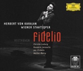 Beethoven: Fidelio artwork