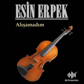 Alışamadım - Esin Erpek