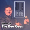 Tribute to the Bee Gees