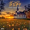 Testify (Audio Nitrate Remix) artwork