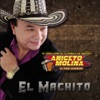 El Machito, 2012