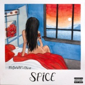 SPICE (feat. Chrxs) artwork