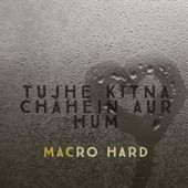 Tujhe Kitna Chahein Aur Hum artwork