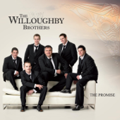 Where the Blarney Roses Grow - The Willoughby Brothers