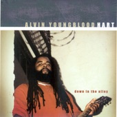 Alvin Youngblood Hart - Motherless Child