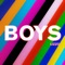 Boys (Pink Panda Remix) - Lizzo lyrics