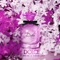 Dolce - Arlene MC & Martin Lora lyrics