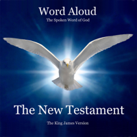Various - The King James Bible: The New Testament artwork