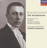 Symphony No. 2 in E Minor, Op. 27: IV. Allegro Vivace artwork