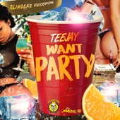 Want Party artwork