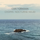 Nocturne No. 20 in C-Sharp Minor, Op. Posth. artwork