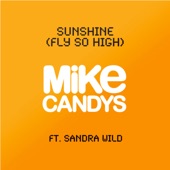 Sunshine (Fly So High) [Club Mix] artwork