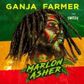 Ganja Farmer (feat. SwissX & ViiB) [Remix] artwork