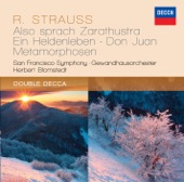 Strauss: Also sprach Zarathustra; Ein Heldenleben; Don Juan; Metamorphosen artwork