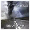Eye of Storm (feat. IQ-Talo) - EP album lyrics, reviews, download