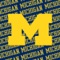 Michigan the Yellow and Blue - The University of Michigan Marching Band lyrics