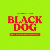 Black Dog (Live Alert - Dirty Sound Magnet Cover) artwork