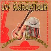 Al Ritmo de los Manantiales artwork