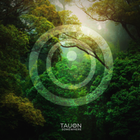 Tauon - Somewhere artwork