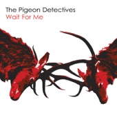 The Pigeon Detectives - You Better Not Look My Way