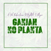Ganjah no planta (Remix) artwork