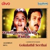 Gokulathil Seethai (Original Motion Picture Soundtrack), 2019
