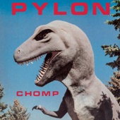Pylon - Reptiles
