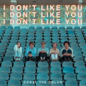 I Don't Like You artwork