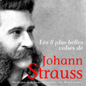 Les 8 plus belles valses de Johann Strauss - Orchestre de la radio de Vienne & Max Gunther
