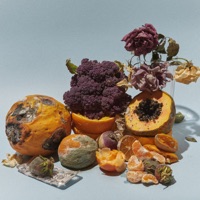 Kiko Dinucci Ablum Cover