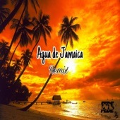 Agua de Jamaica artwork