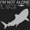 I'm Not Alone 2019 - EP album lyrics, reviews, download