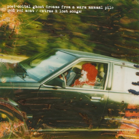 Cover artwork for Steal Away