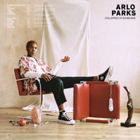 Arlo Parks - Collapsed in Sunbeams (Deluxe) artwork