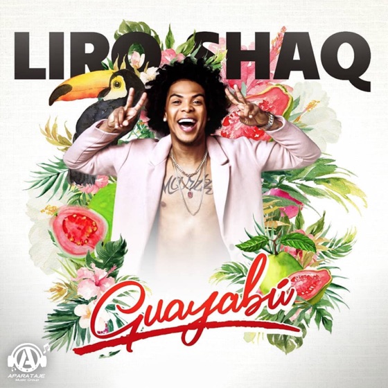Cover artwork for Guayabu