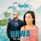 Hawa (feat. Rani Randeep) - DJ Rags lyrics