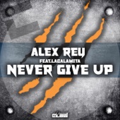 Never Give Up (feat. Lacalamita) [Radio Edit] artwork
