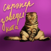 Заведи кота artwork