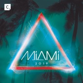 Miami 2019 artwork
