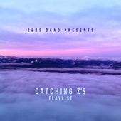 Catching Z's, Vol. 3 (DJ Mix) artwork