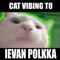 Cat Vibing To Ievan Polkka Swing artwork