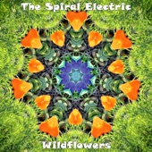 The Spiral Electric - Wildflowers