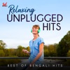 Relaxing Unplugged Hits