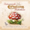 Betoverende Efteling Melodieën, 2013