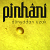 Pinhani - Dünyadan Uzak artwork